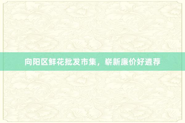 向阳区鲜花批发市集，崭新廉价好遴荐