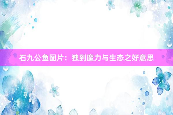 石九公鱼图片：独到魔力与生态之好意思